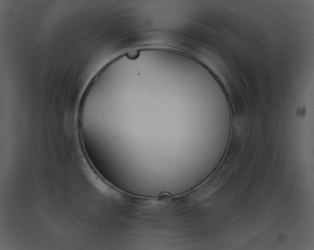 X0000093601482200710221537