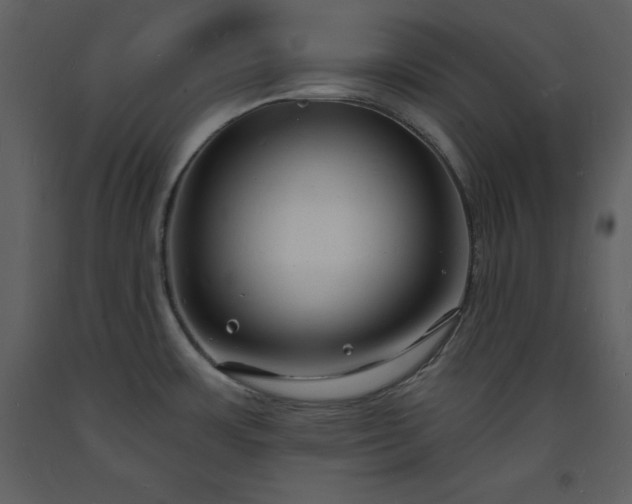 X0000093601483200710221537