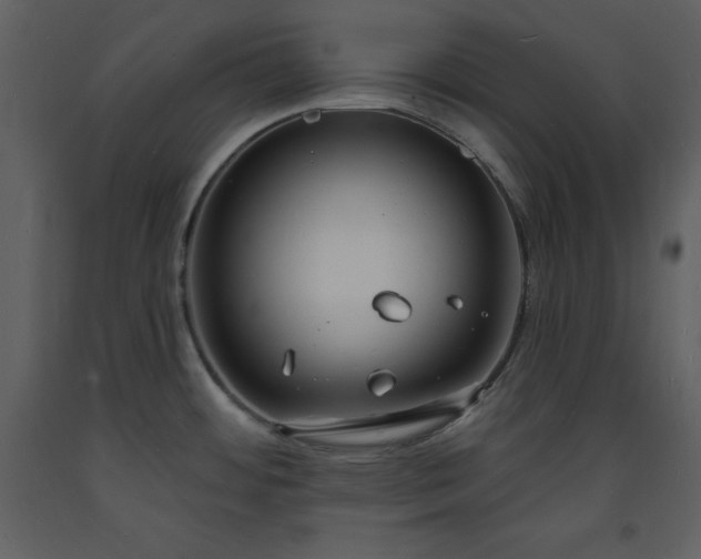 X0000093601484200710221537