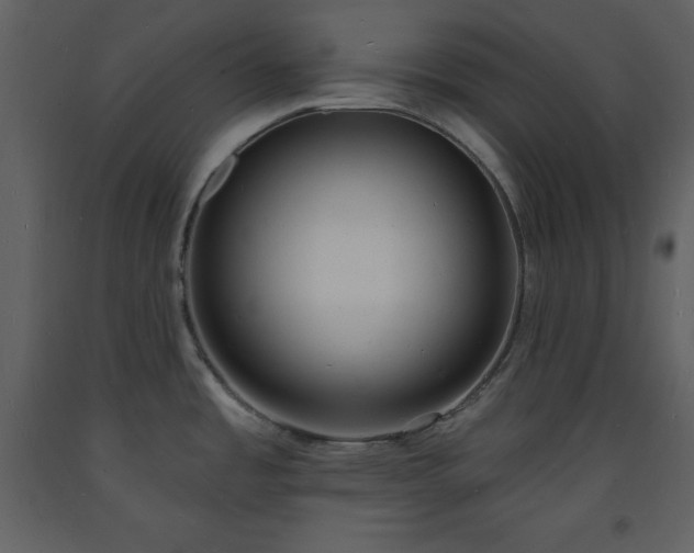 X0000093601485200710221537