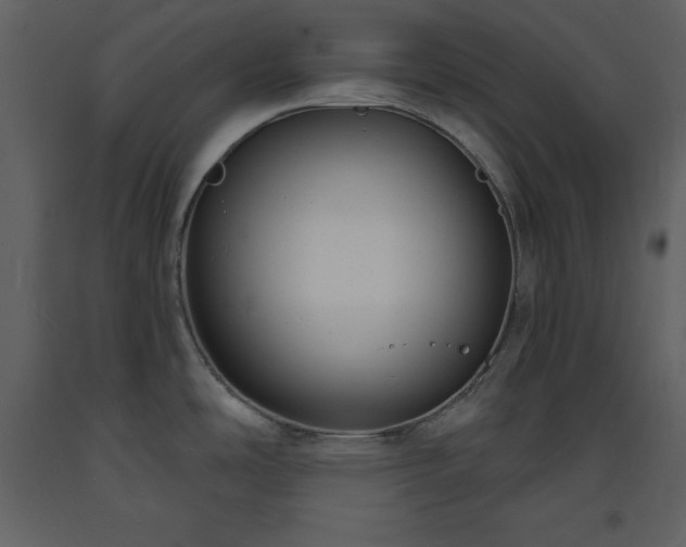 X0000093601486200710221537