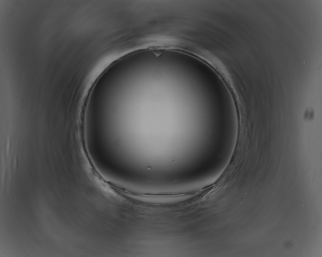 X0000093601488200710221537