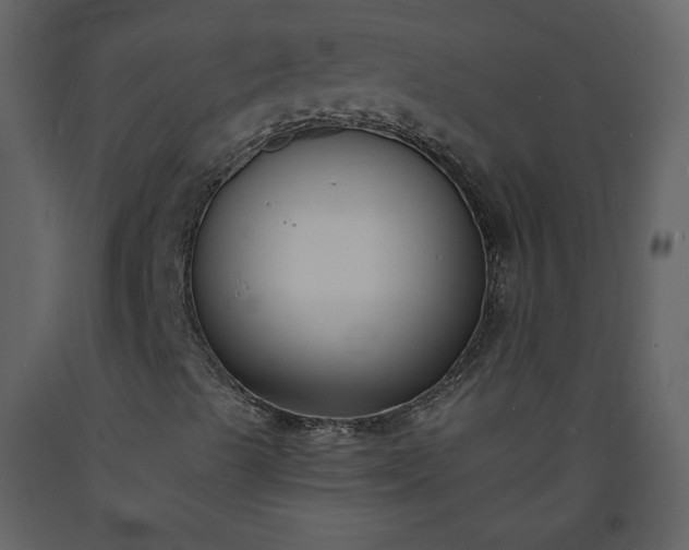 X0000093601489200710221536