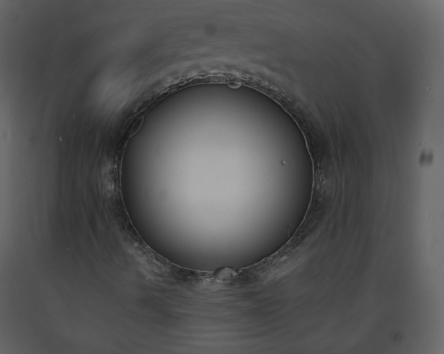 X0000093601490200710221537