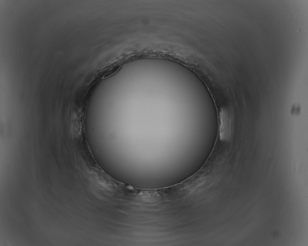 X0000093601491200710221537