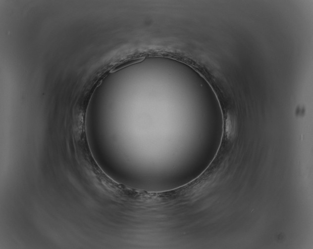 X0000093601492200710221537