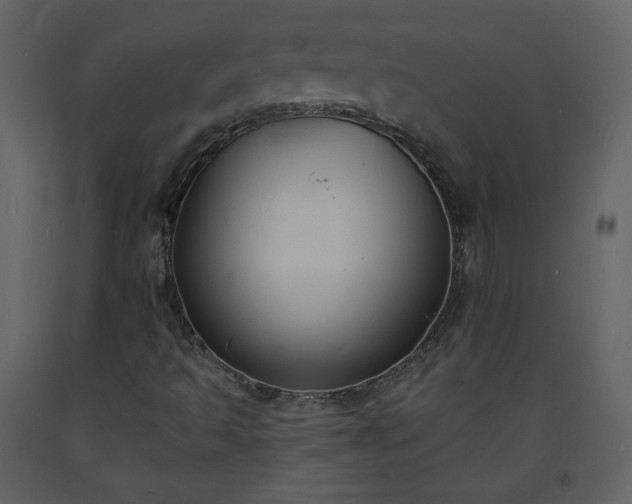 X0000093601493200710221537