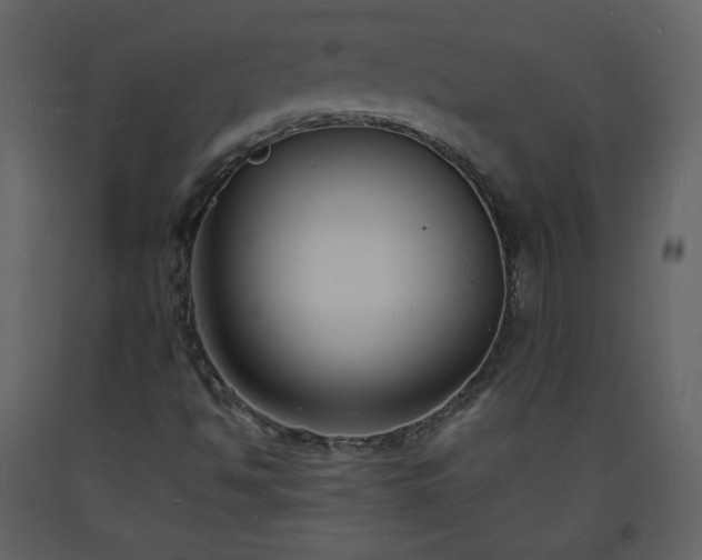 X0000093601494200710221537