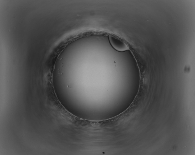 X0000093601495200710221537