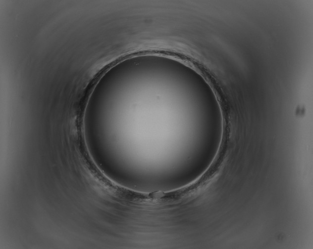 X0000093601497200710221537