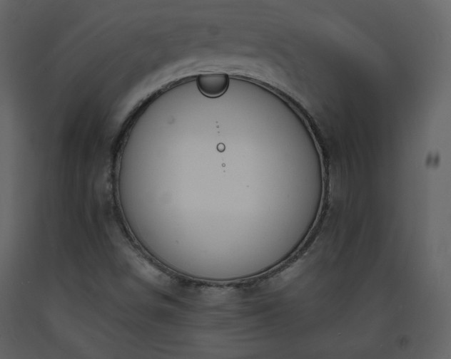 X0000093601498200710221537