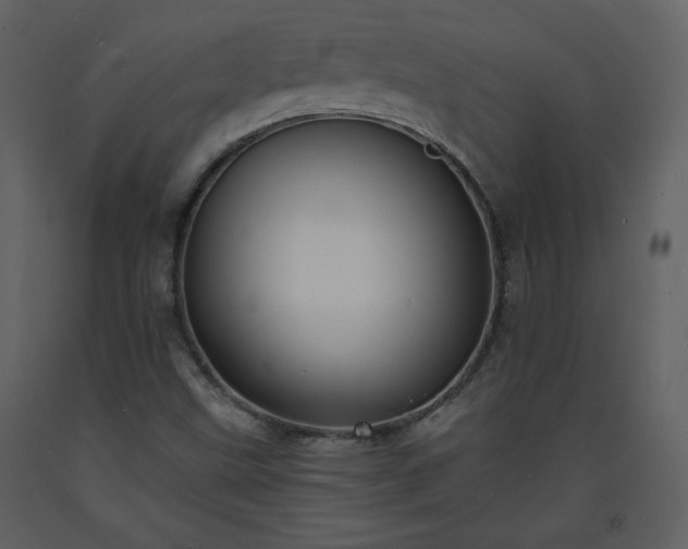 X0000093601499200710221537