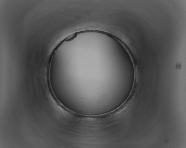 X0000093601500200710221537