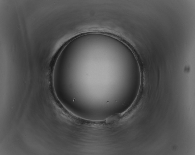 X0000093601501200710221537