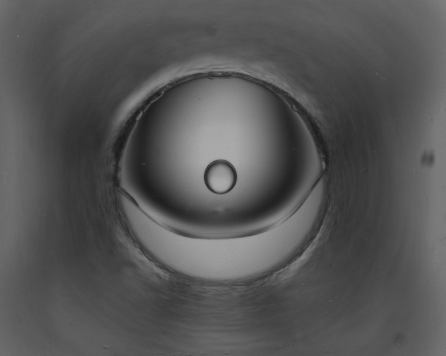 X0000093601502200710221537