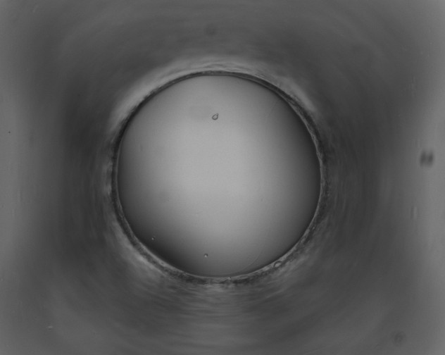 X0000093601504200710221537