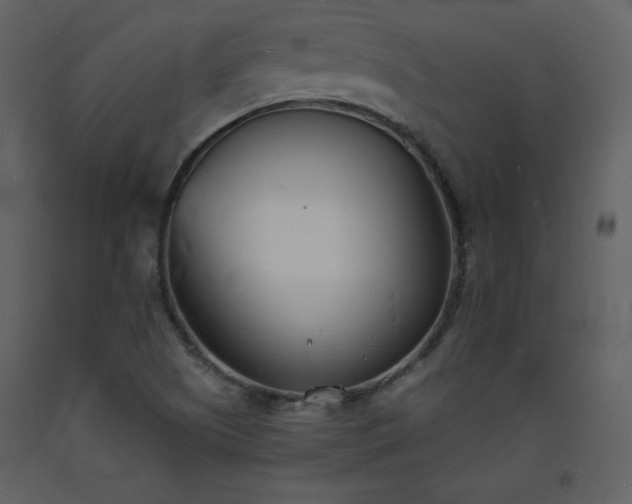 X0000093601505200710221537