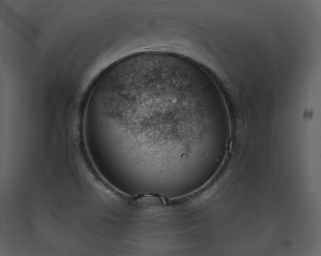 X0000093601506200710221537