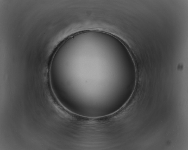 X0000093601507200710221537