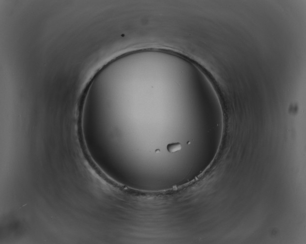 X0000093601508200710221537