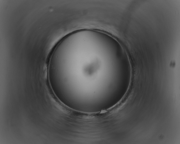 X0000093601509200710221537