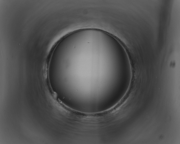 X0000093601510200710221537