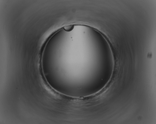 X0000093601511200710221537