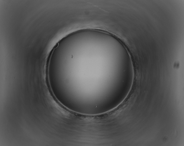 X0000093601512200710221537