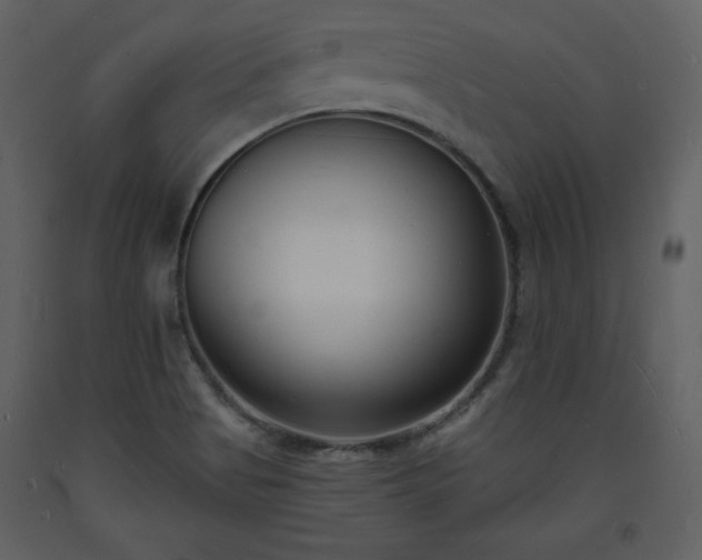 X0000093601513200710221537