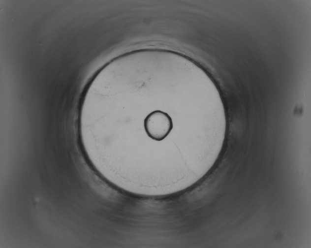 X0000093601514200710221537