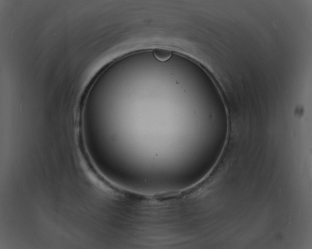 X0000093601515200710221537