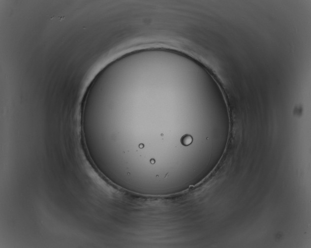 X0000093601516200710221537