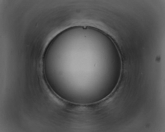 X0000093601517200710221537