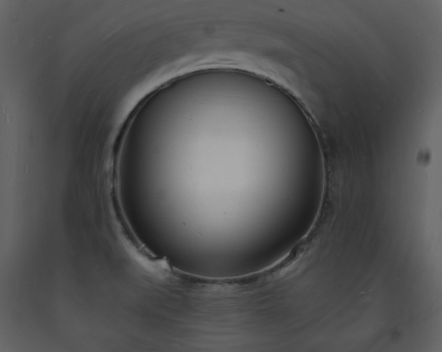 X0000093601519200710221537