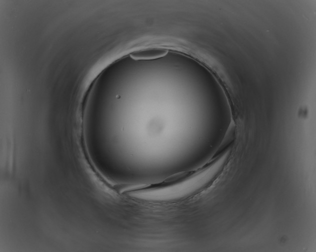 X0000093601520200710221537