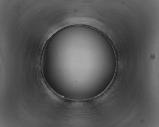 X0000093601521200710221537