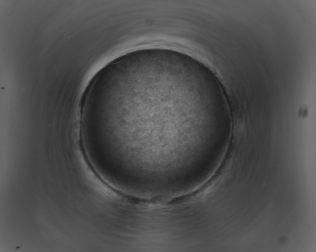 X0000093601522200710221537