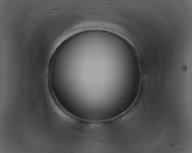 X0000093601523200710221537