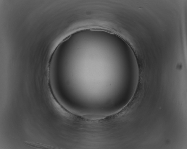 X0000093601524200710221537