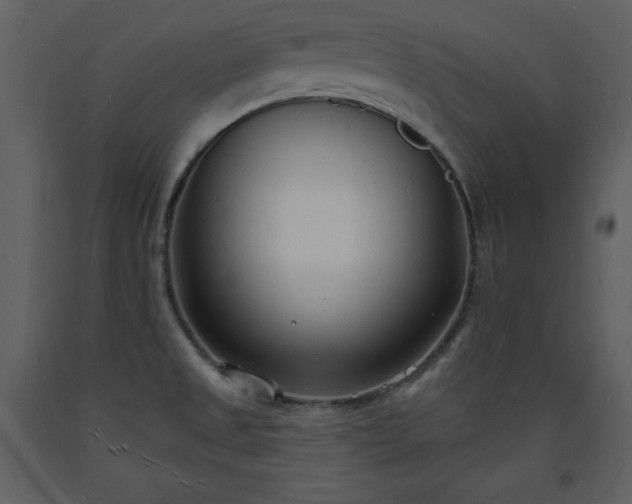 X0000093601525200710221537