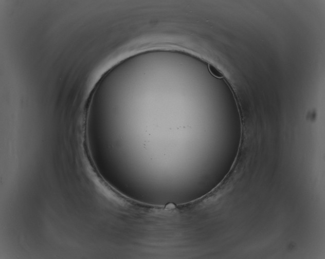 X0000093601526200710221537