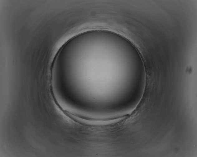 X0000093601527200710221537