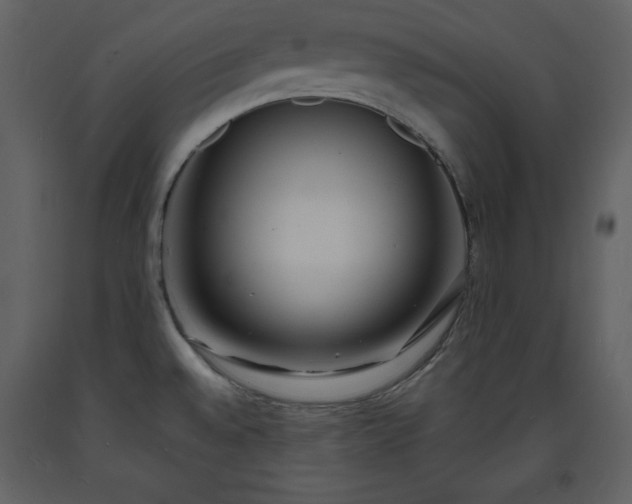 X0000093601528200710221537