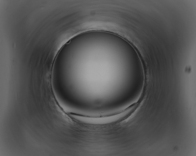 X0000093601529200710221537