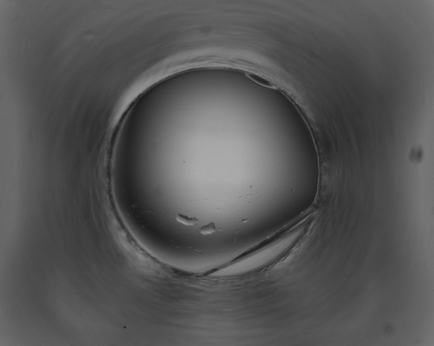 X0000093601530200710221537