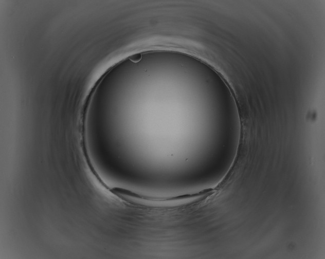 X0000093601531200710221537