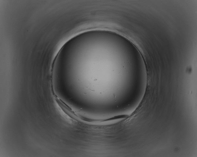 X0000093601532200710221537