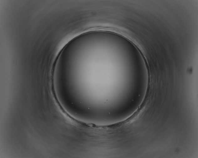 X0000093601533200710221537