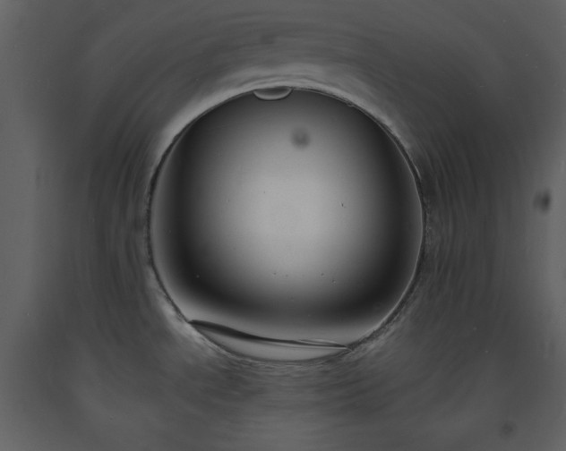 X0000093601534200710221537