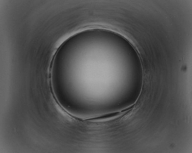 X0000093601535200710221537